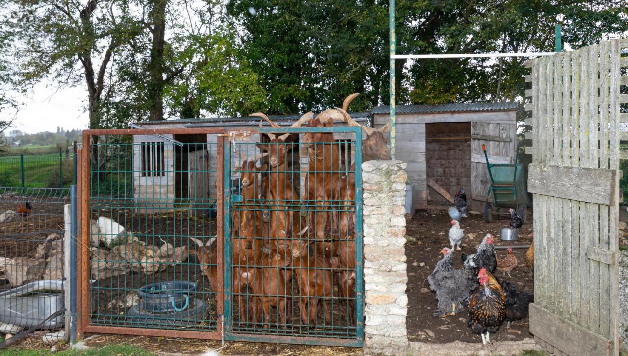 La Ferme Des Nonains Lejlighed Montjavoult Eksteriør billede